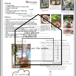 Formal Assessment: Experiment with memo and teacher notes (Gr 4) – Term 1