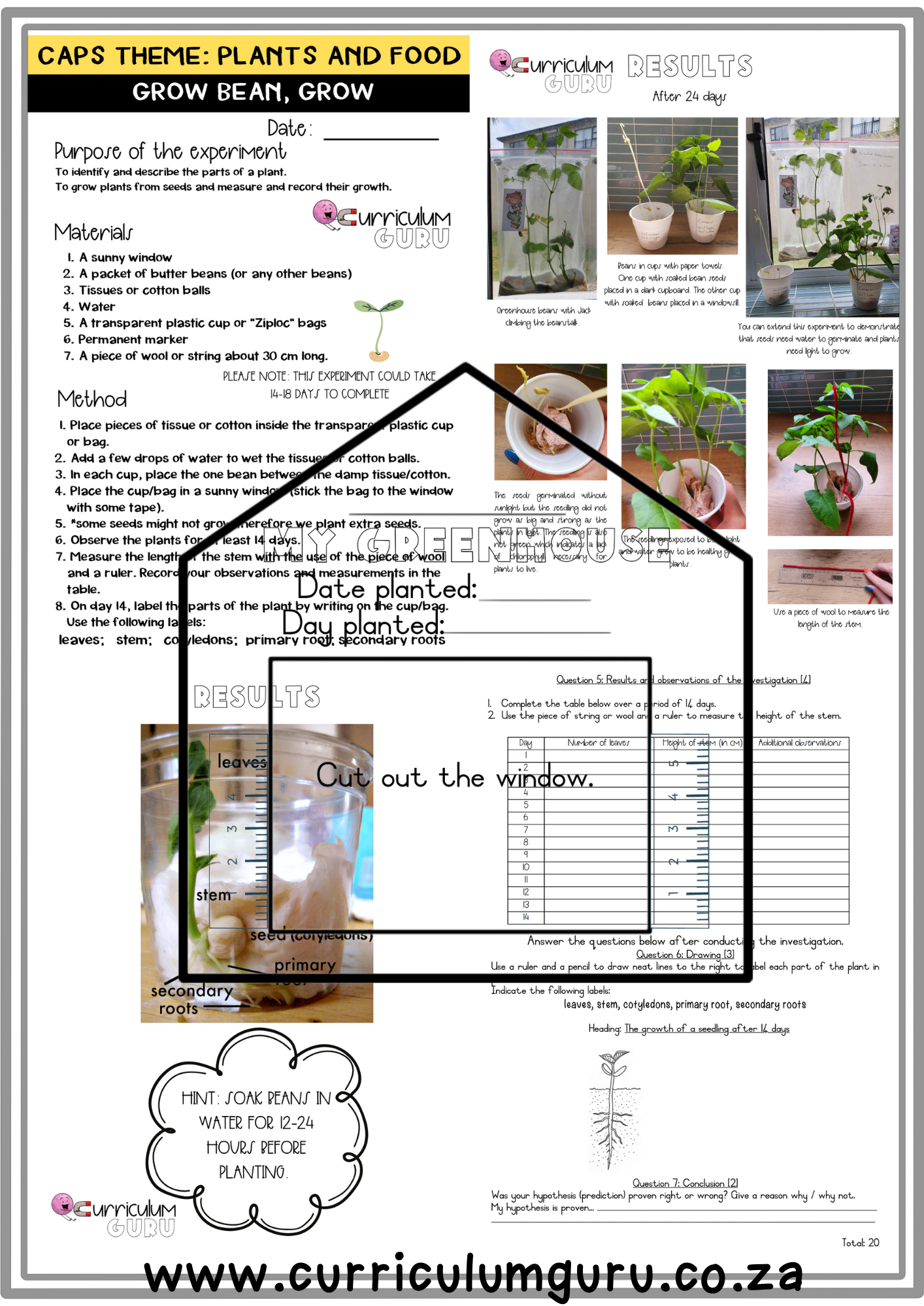 Formal Assessment: Experiment with memo and teacher notes (Gr 4) - Term 1 - Image 2