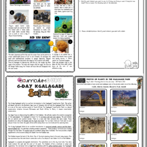 Worksheets (Gr 4) – Term 1