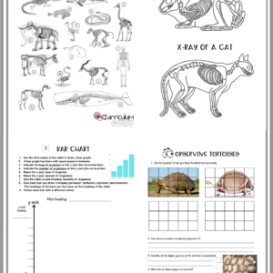 Worksheets (Gr 5) – Term 1