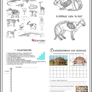 Werkkaarte (Gr 5) – Kwartaal 1