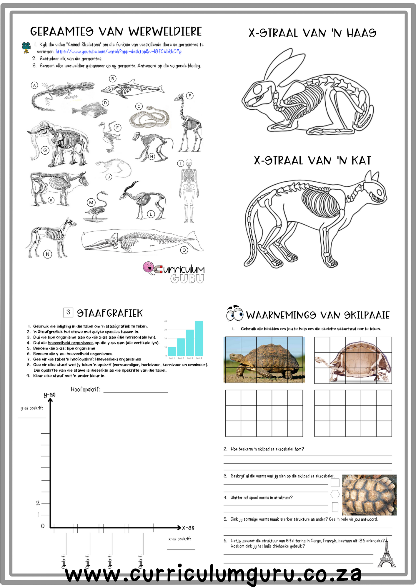 Werkkaarte (Gr 5) - Kwartaal 1 - Image 2