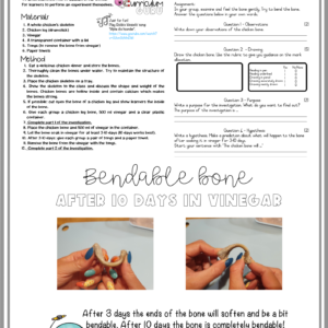 Formal Assessment: Experiment with memo and teacher notes (Gr 5) – Term 1