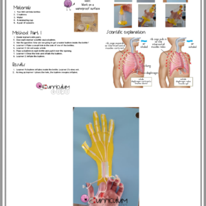 Experiment Book (Gr 5) – Term 1