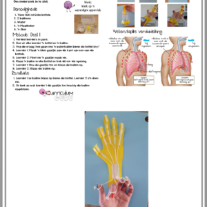Eksperimente Boek (Gr 5) – Kwartaal 1