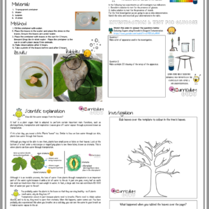 Experiment Book (Gr 6) – Term 1