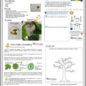 Eksperimente Boek (Gr 6) – Kwartaal 1