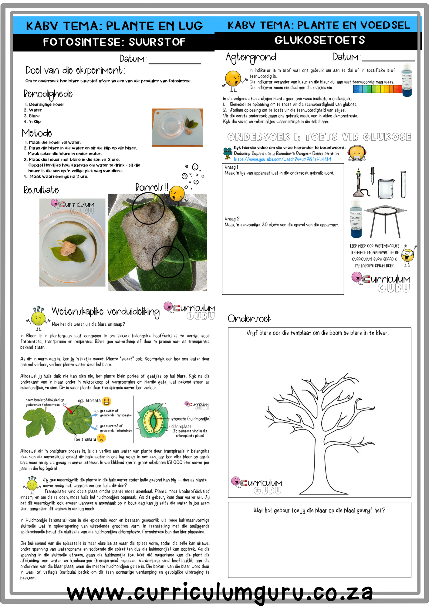 Eksperimente Boek (Gr 6) - Kwartaal 1 - Image 2