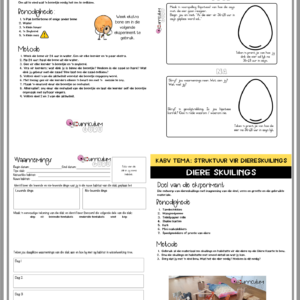 Eksperimente Boek (Gr 4) – Kwartaal 1
