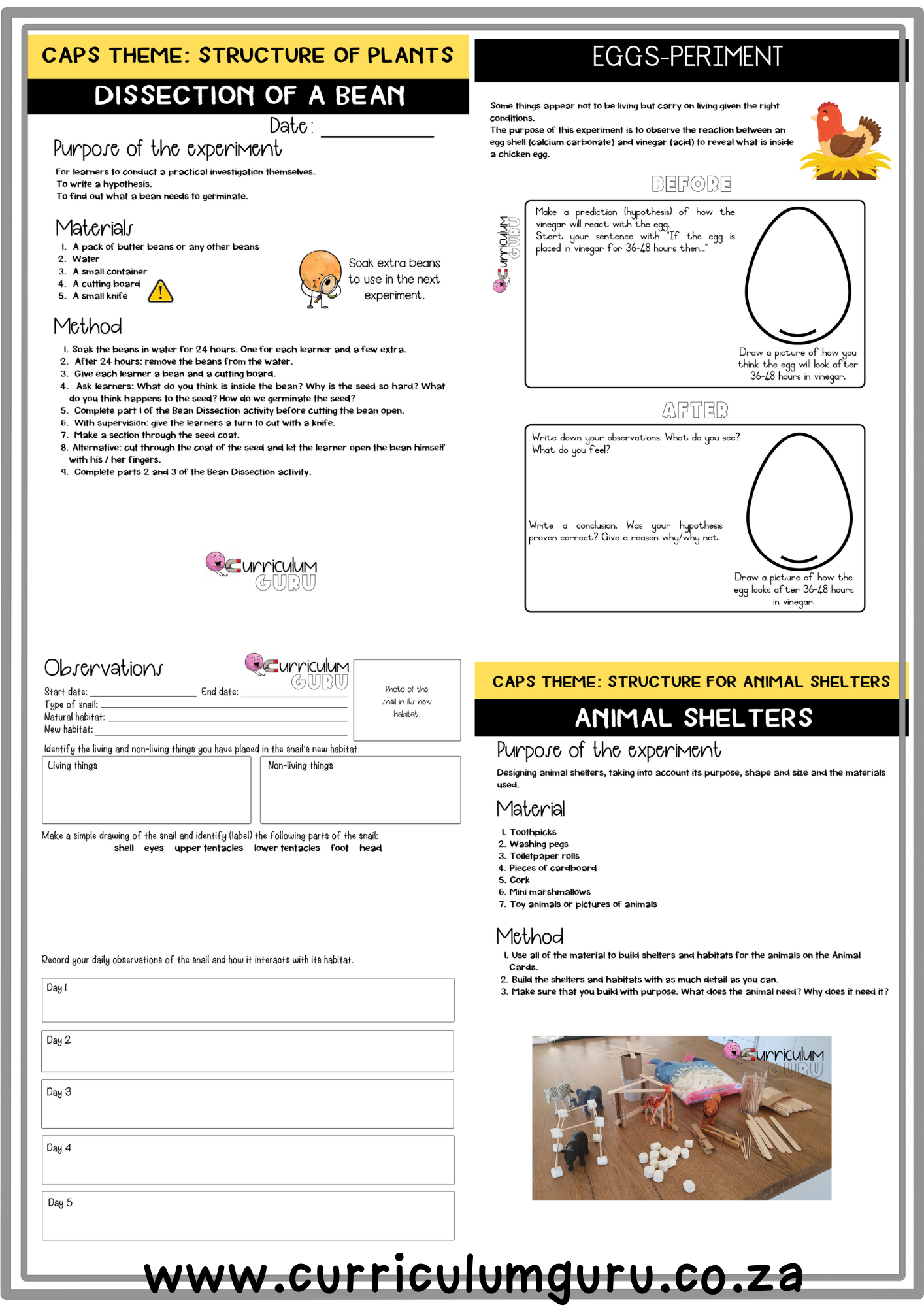Experiment Book (Gr 4) - Term 1 - Image 2