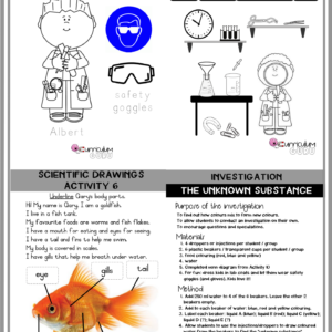 My Science Skills Book (Gr R-1)